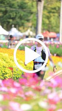 BIB:  <button type="button" onclick="openModal(27583818)" class="btn btn-primary btn-sm float-right" data-toggle="modal" data-target=".modal-high-quality">
                <i class="fa fa-download"></i> Download
                </button>